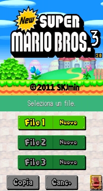 New Super Mario Bros 3 DS Game