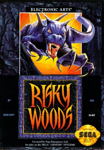 Risky Woods  ゲーム