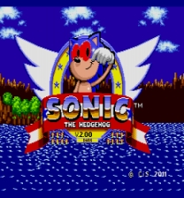 Dark Sound The Hedgehog Jeu