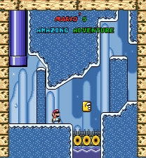 Mario's Amazing Adventure Gioco