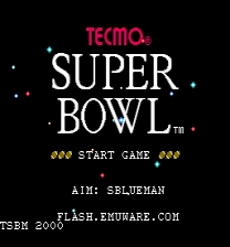 Tecmo Super Bowl: 2002 Gioco