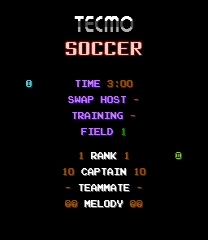 tecmo cup soccer