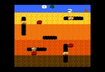 Dig Dug  ROM