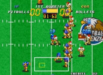 Football Frenzy  ROM