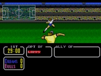 Tecmo Cup   [b]Rom