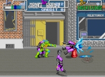 Teenage Mutant Hero Turtles  ROM